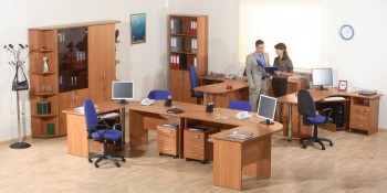 Мебель для персонала Альфа 61 Ольха в Горном - gornyj.mebel54.com | фото