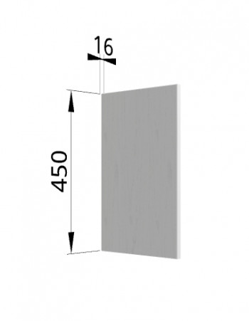 Панель торцевая (для шкафа горизонтального высокого) ВПГ Ройс (Графит софт) в Горном - gornyj.mebel54.com | фото